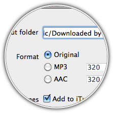 Saving in original format feature