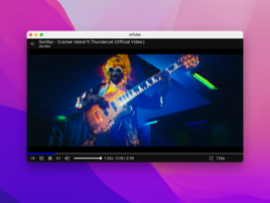 Video player window
