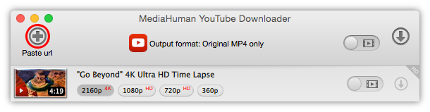 Paste link to 4K video you want to download