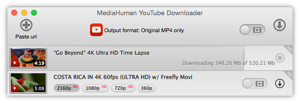 How to download 4K video from  in ONE click