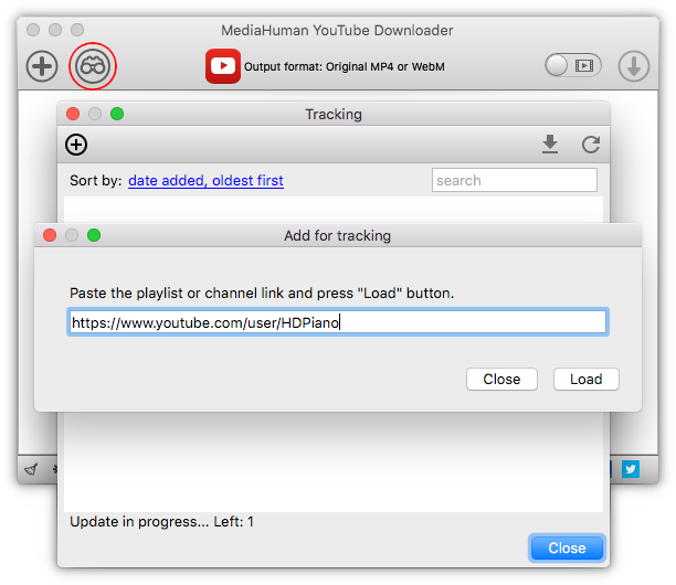 Incolla il link nel YouTube Downloader