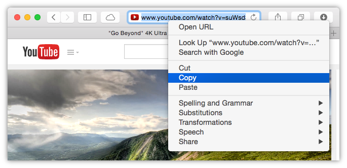 Copy the URL of video you want to download