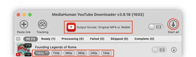 Select format, quality and start downloading
