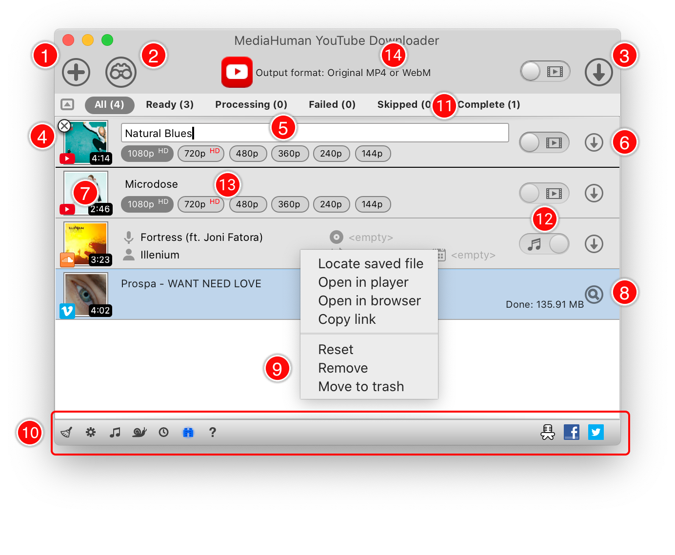 Understanding the user interface of MediaHuman YouTube Downloader