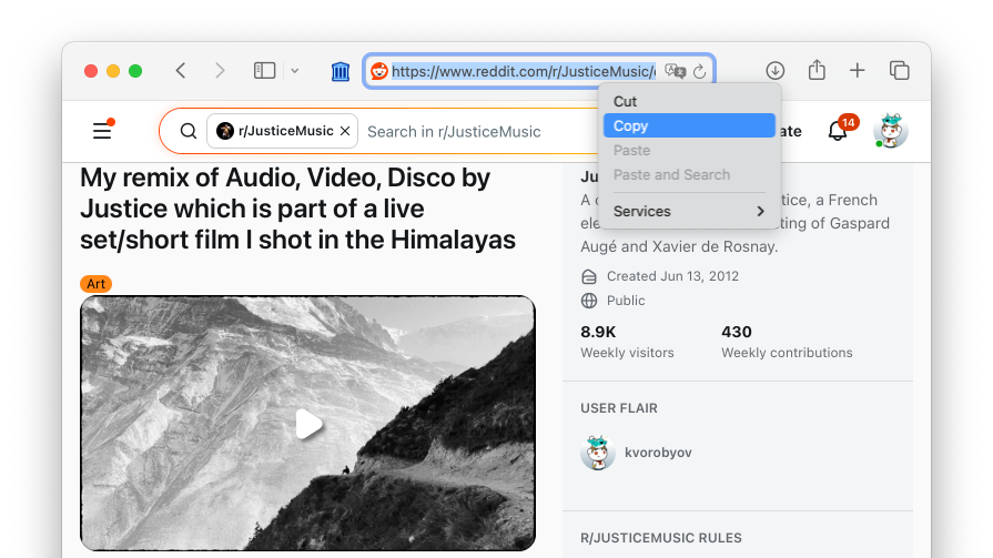 A Reddit post with a video — copy the URL from the browser address bar